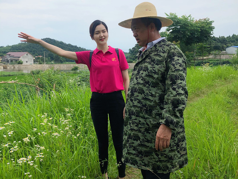 姓名查身份证号码查询系统_身份证查询系统带姓名_姓名查身份证查询系统