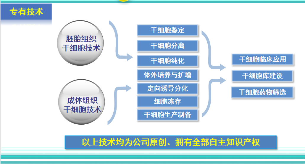 cellmaker下载_下载快手_下载233乐园