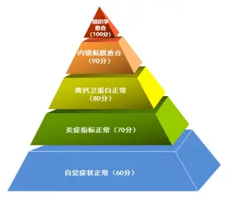 罗克罗恩病的特征性体征_罗克罗恩病_克罗恩病的六大标准