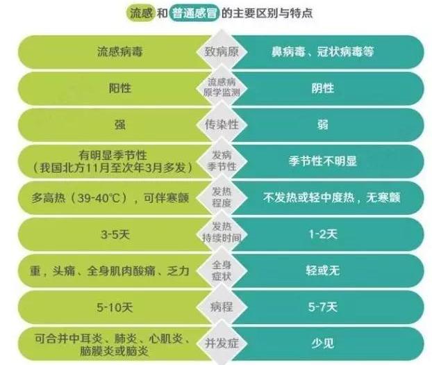 呼吸道合胞病毒(rsv)肺炎_呼吸合胞病毒性肺炎_呼吸道合胞病毒肺炎