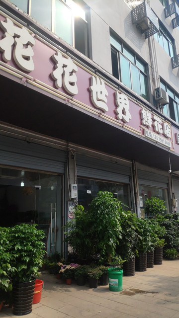 深圳沙头鲜花店_深圳鲜花花店_沙田鲜花店