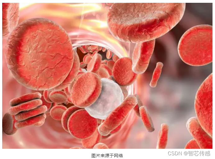 自动抄表系统原理与应用_自动抄表(amr)_自动抄表系统