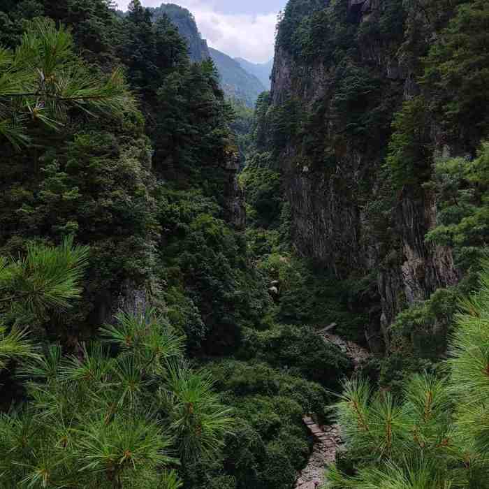 钱仓山玻璃栈道_苍山索道多少钱一位_苍山感通索道旅游多少钱