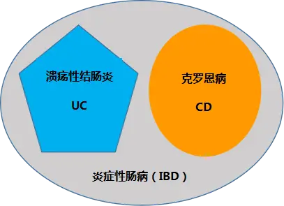 克罗恩护理诊断_克罗恩病的护理问题_克罗恩病护理查房怎么提问题