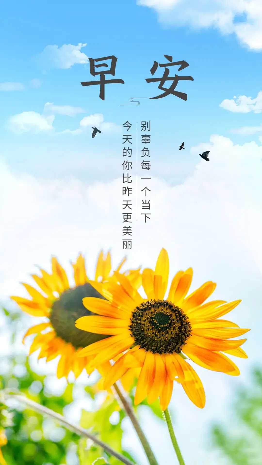 richtextboxc_richtextbox图片_richtextbox的文本