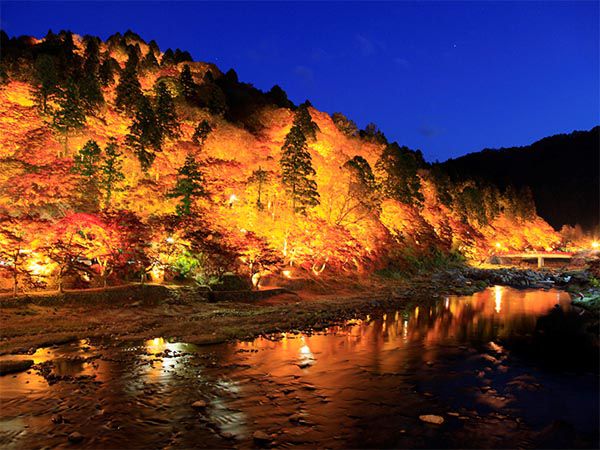 风林火山日本_风林火山日本_日本风林火山原旗