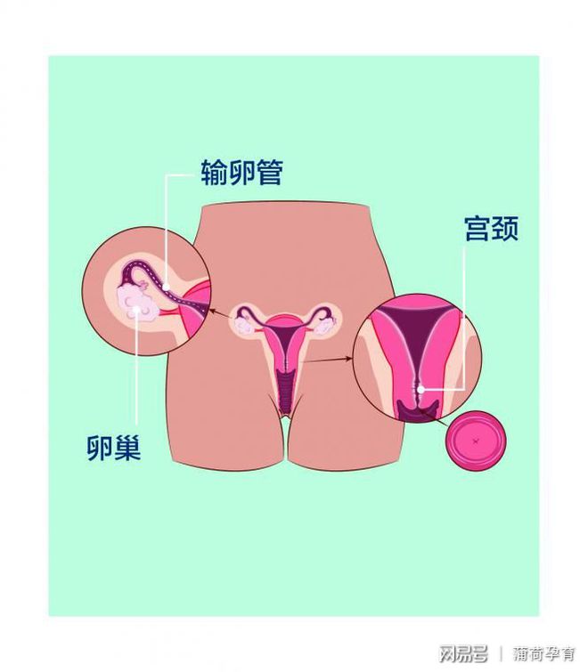 肛门擦干净一会又有屎有啥方法_肛门擦不干净_肛门擦不干净