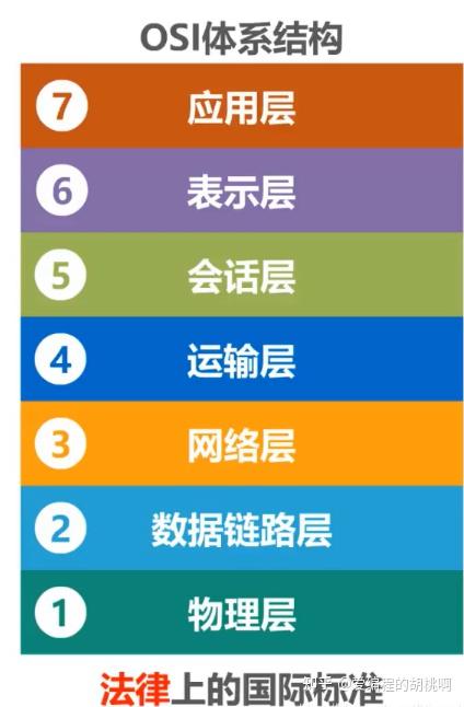 计算机的分类按性能分_计算机按性能分五大类_计算机的性能分类