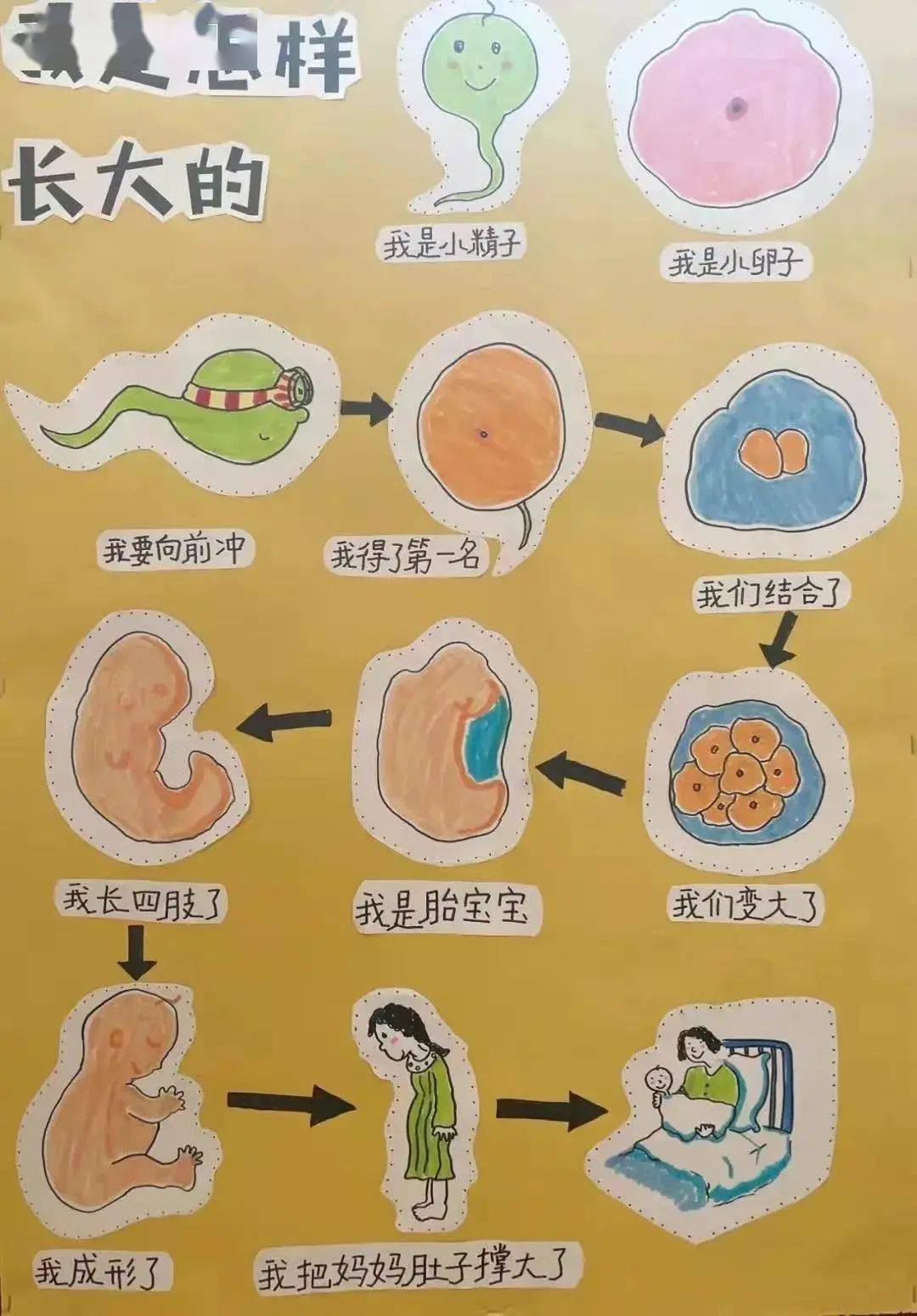 电控系统的原理_简述电控系统的工作原理_电控系统原理