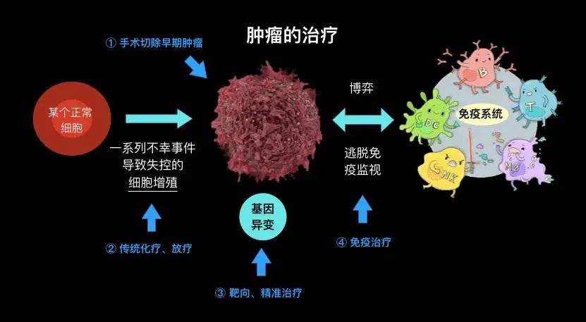 白血病化疗后可以马上出院吗_白血病化疗后能活多久_白血病做完化疗能活多久