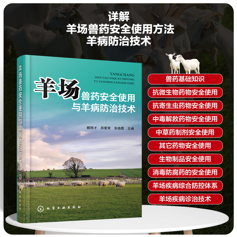 肉羊健康高效养殖_肉羊高效养殖技术书_养殖高效肉羊健康吗