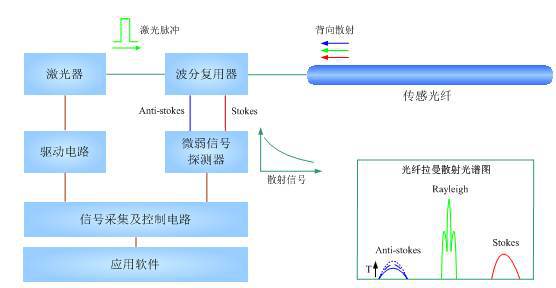 光纤网络工程与小动物再生功能