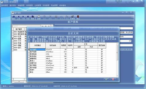 erp系统实施项目,ERP系统实施项目的关键步骤与注意事项