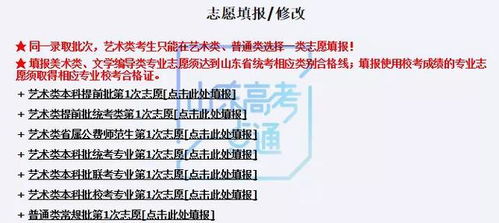 高考志愿填报系统网站,高考志愿填报系统网站功能解析