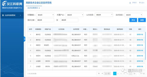 高企认定系统,高企认定系统助力企业高效申报与复审