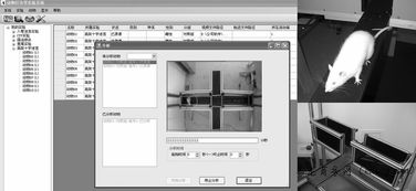 高架十字迷宫视频分析系统,高架十字迷宫视频分析系统在现代科研中的应用