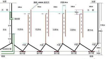 分级过滤系统下载,高效信息筛选与处理之道