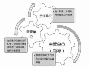 督查督办系统建设,督查督办系统建设与应用概述