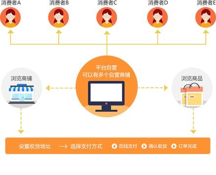 多用户购物系统,B2B2C多用户商城系统解析与构建策略