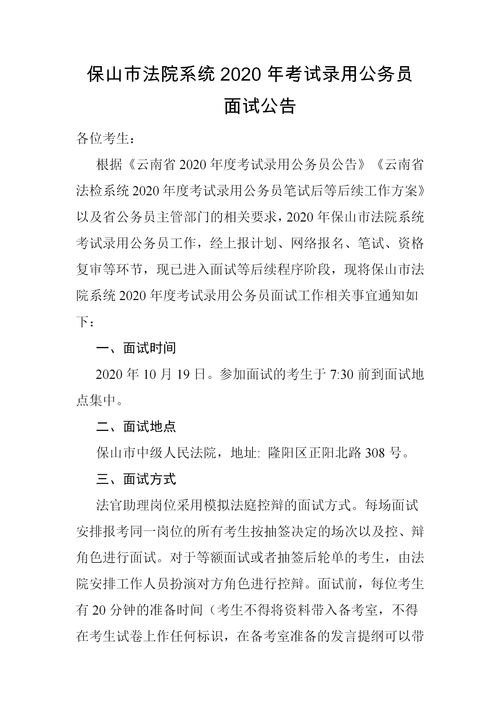 法院系统面试真题,透视公务员选拔标准与应对策略