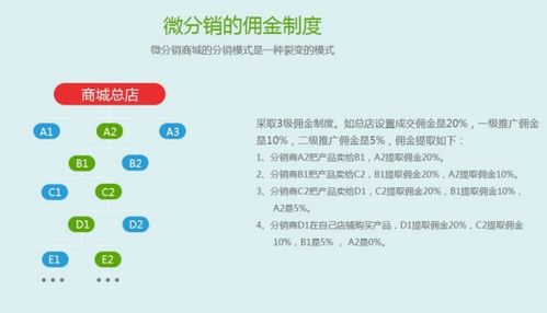 分销系统要多少钱,价格因素与功能需求揭秘