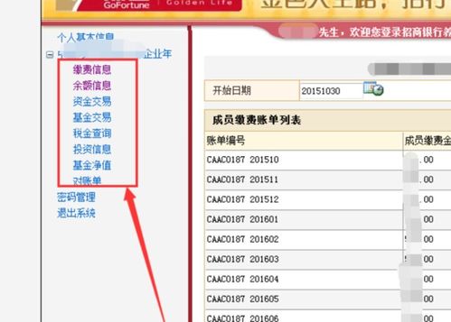 个人年金查询系统,全方位了解账户信息