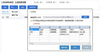 个人所得税系统操作,高效便捷的税务申报流程解析