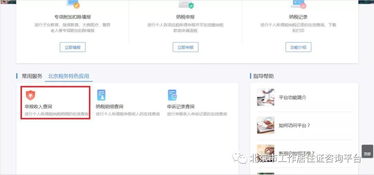 个税查询系统2019,助力企业高效核算与合规