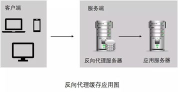 分布式缓存系统,构建高效数据访问与负载均衡的架构解析