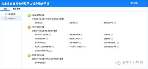 个人社保网上服务系统,便捷生活一步到位
