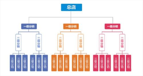 分销网上商城系统,网上商城系统助力企业拓展市场新篇章