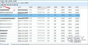 富宁公文系统,富宁公文系统助力高效公文处理与信息共享