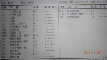 番茄花园系统b超,探索科技与健康的完美融合