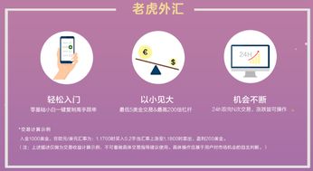 高手的外汇交易系统,高手策略与实战技巧深度解析