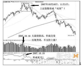 翻倍黑马选股系统揭秘,实战技巧与策略解析