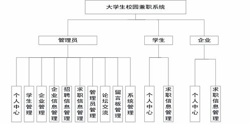 高校管理信息系统,构建数字化校园的基石