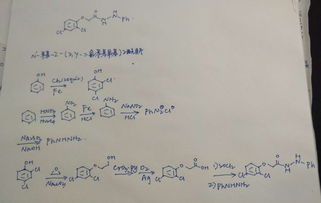 对苯系统命名,苯及其衍生物的系统命名法解析与应用