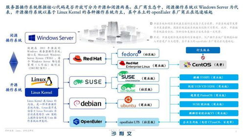 服务器操作系统市场,技术演进与行业应用解析