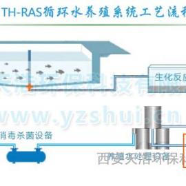 给排水系统的原理,虹吸原理在现代给排水系统中的应用与优势解析