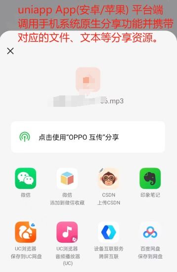 苹果搭安卓系统app,苹果iOS与安卓系统APP同步构建指南