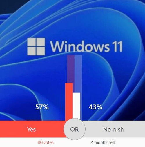 windows 11系统安卓测试,探索微软大一统梦的初步实践