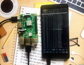 树莓派安卓系统 遥控,打造安卓系统下的家电控制新体验