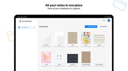 安卓系统有没有goodnotes,期待与挑战并存
